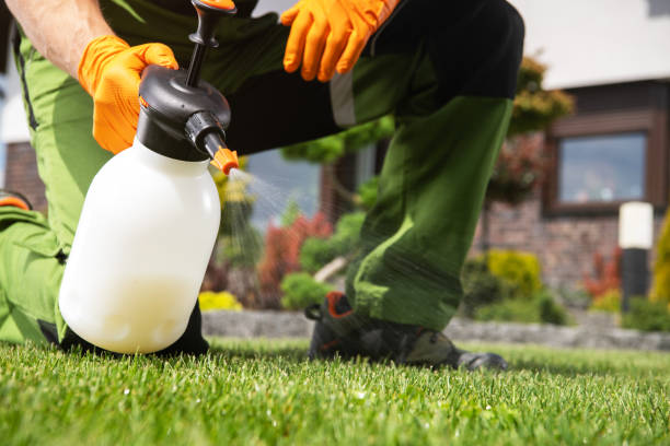 Professional Pest Control in Aberdeen, NC