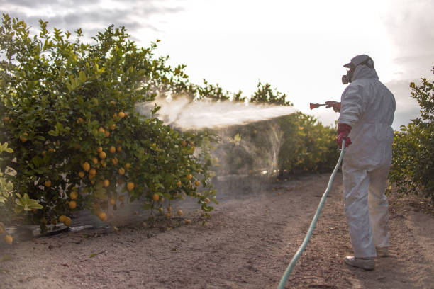 Pest Prevention Services in Aberdeen, NC
